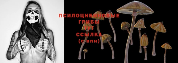 гидра Арсеньев
