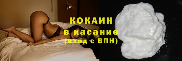гидра Арсеньев