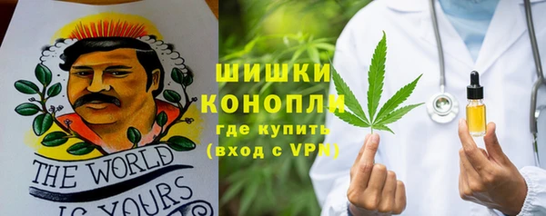 гидра Арсеньев